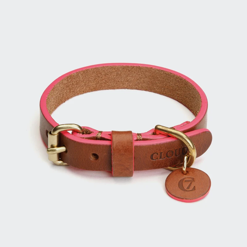 Hundehalsband Prince Park Cognac/Pink