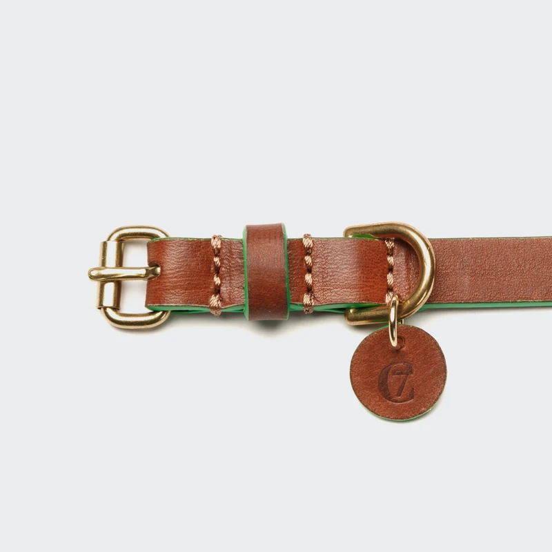 Hundehalsband Prince Park Cognac/Green