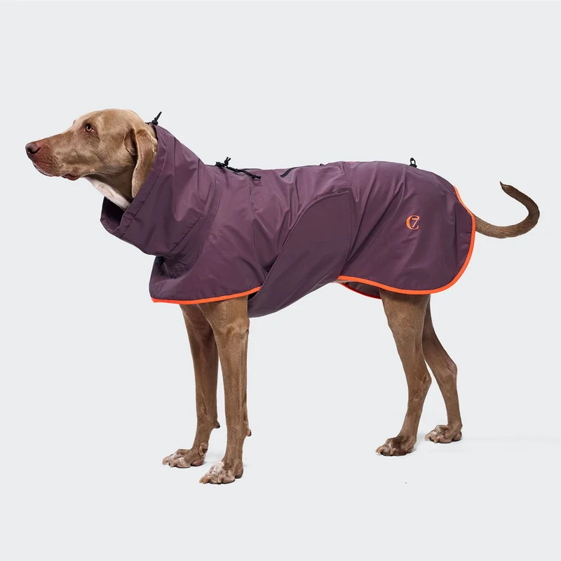 Hunderegenmantel AKTIV Aubergine/Orange