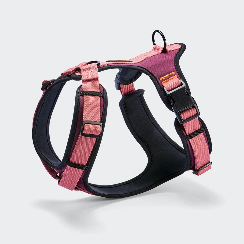 Y-3 Geschirr AKTIV Softshell Aubergine/Soft Rose