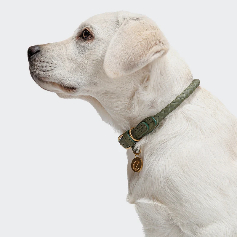 Hundehalsband Ravello Moss