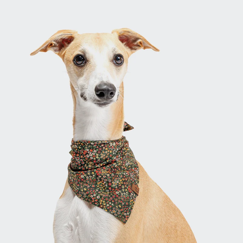 Hundehalstuch Bandana Botanical Night