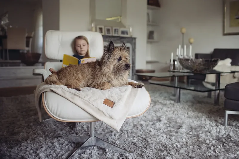 HYGGEPLAID Kuscheldecke für Hunde Ivory