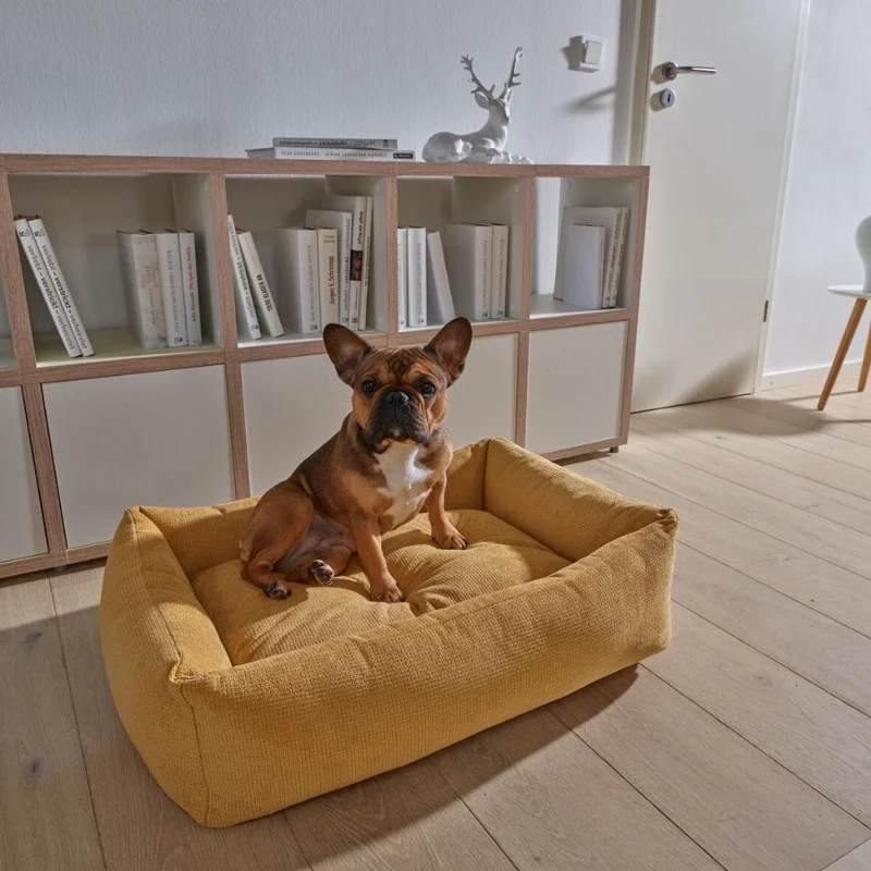 Hundebett Tudor