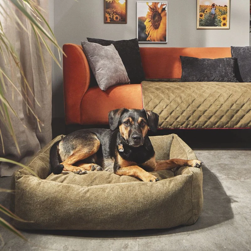 Hundebett Tudor