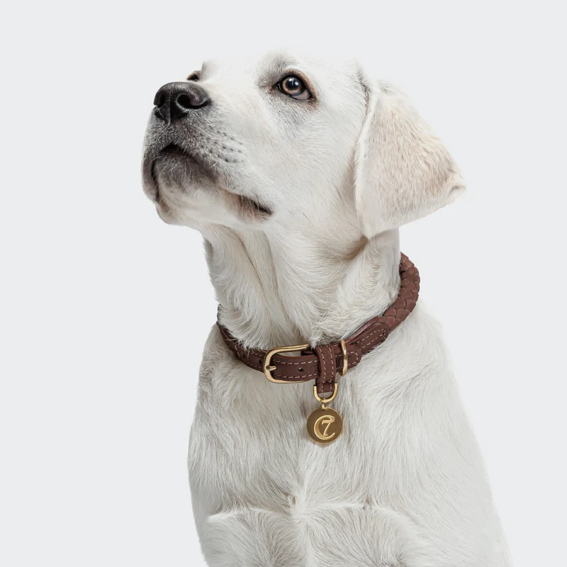 Hundehalsband Ravello Hazel