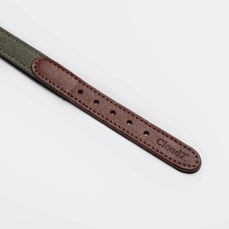 Hundehalsband Tivoli Olive