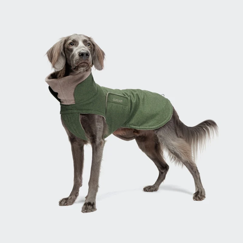 Hundemantel Brooklyn Long Flannel Fern Green