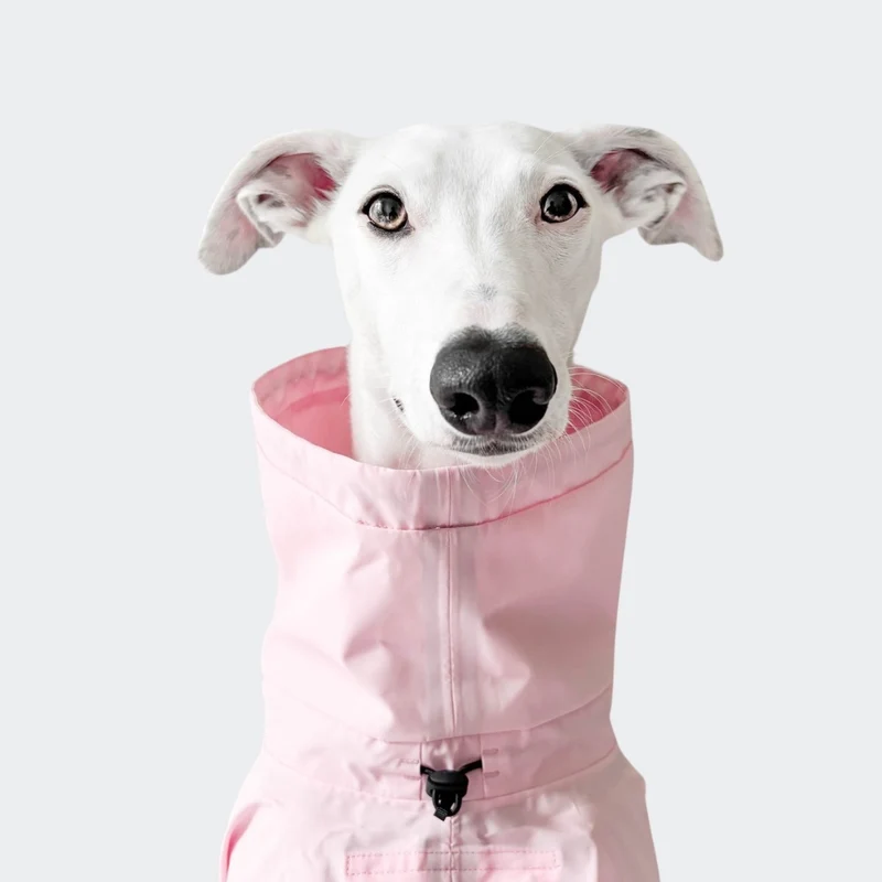Hunderegenmantel AKTIV Peach/Neon Pink