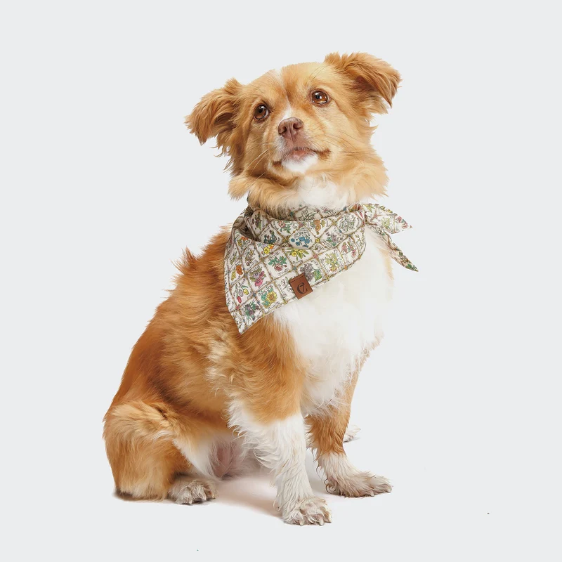 Hundehalstuch Bandana Flower Squares