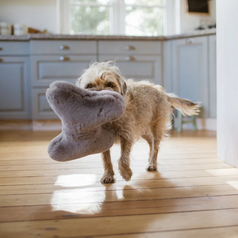 Kopf- und Kuschelkissen für Hunde HYGGEBONE® | Stone