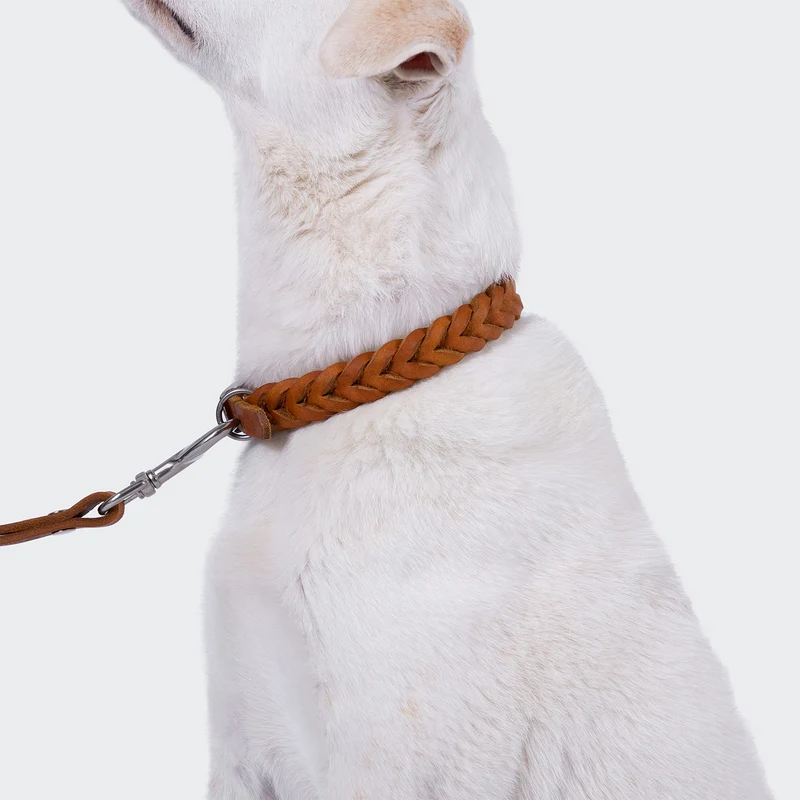 Hundehalsband Central Park Camel Silver