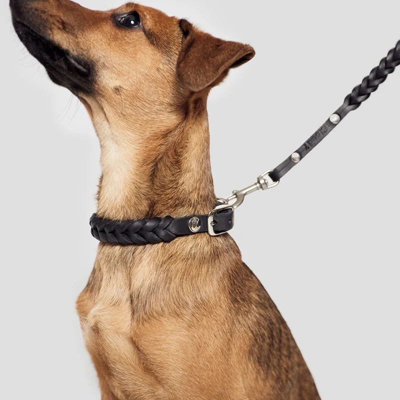 Hundehalsband Central Park Black Silver