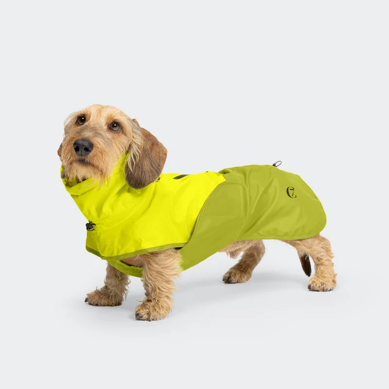 Hunderegenmantel Dackel AKTIV Neon Green/Light Olive