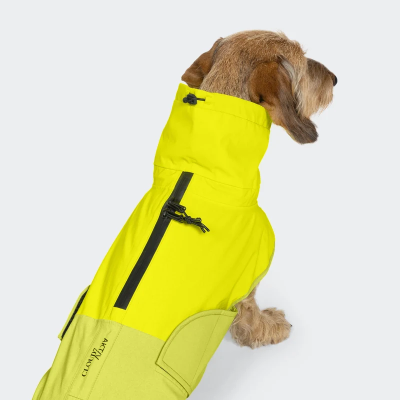 Hunderegenmantel Dackel AKTIV Neon Green/Light Olive