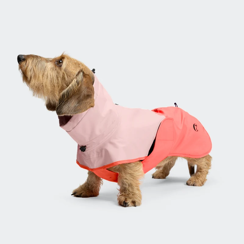 Hunderegenmantel Dackel AKTIV Peach/Neon Pink
