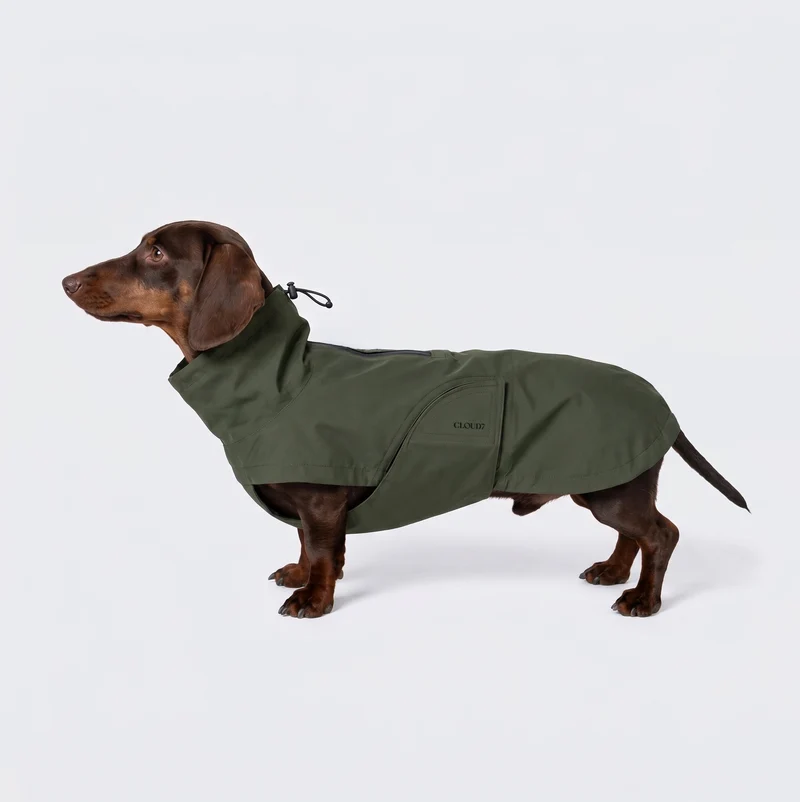 Hunderegenmantel Dackel Dublin 2.0 Dark Olive