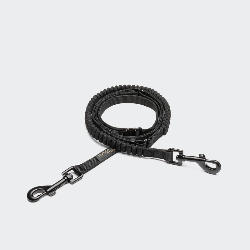 L-2 Jogging-Leine AKTIV Black