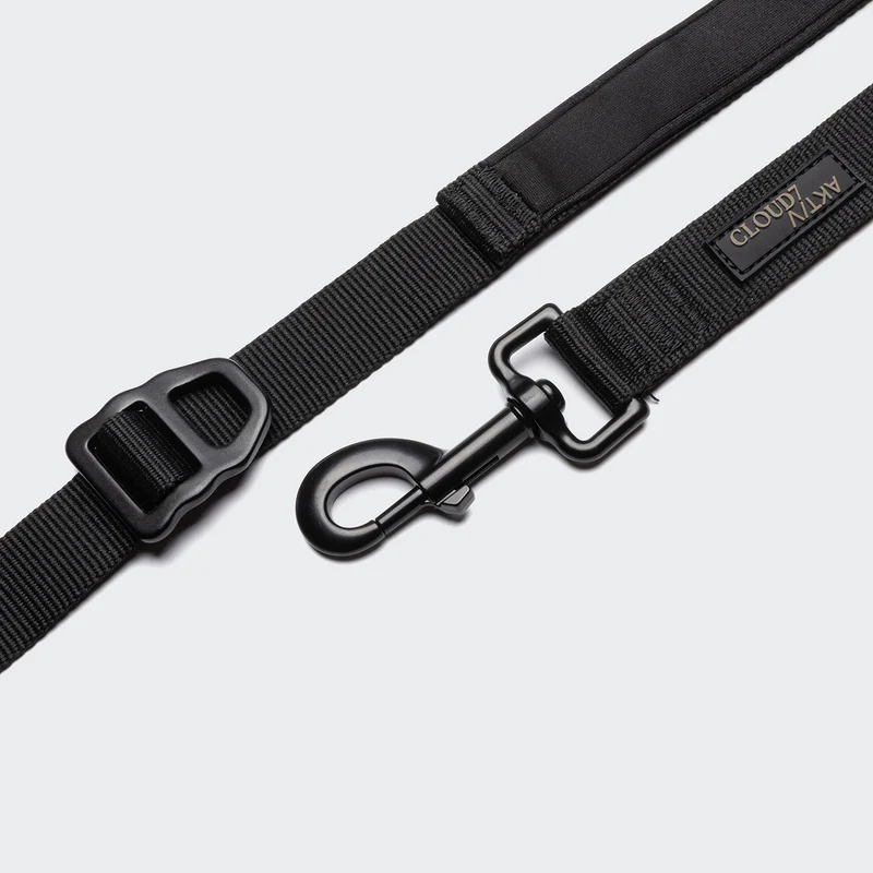 L-2 Jogging-Leine AKTIV Black