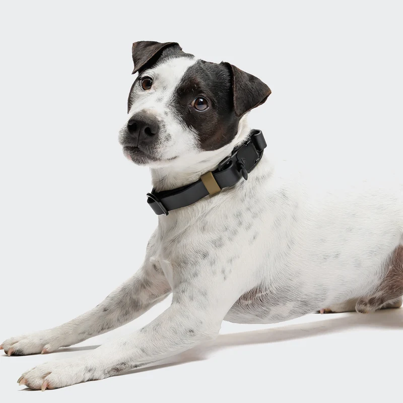 Hundehalsband BioThane Ipanema Black-Olive