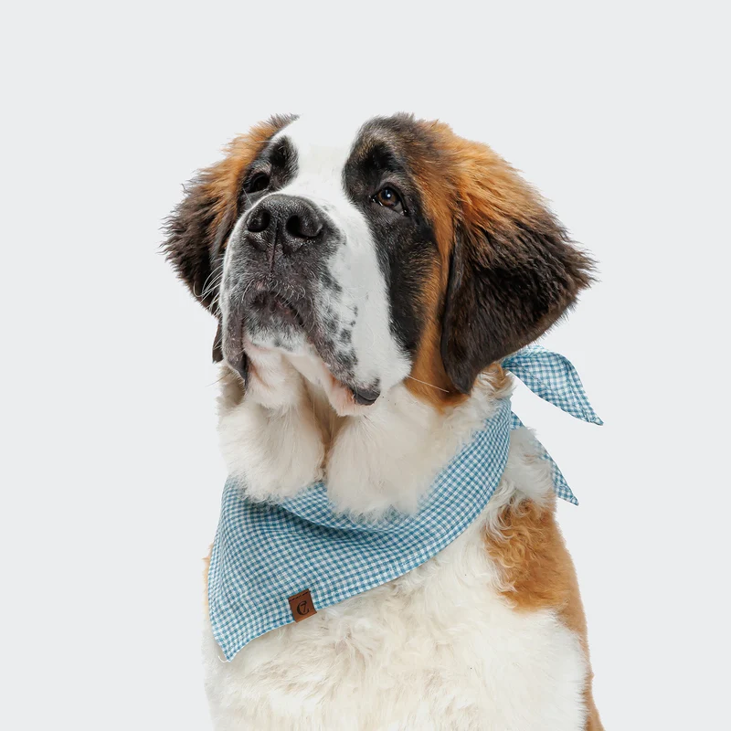Hundehalstuch Bandana Mini Check Blue