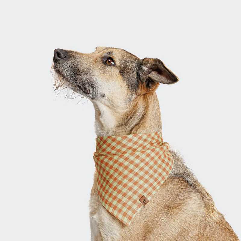 Hundehalstuch Bandana Check Orange