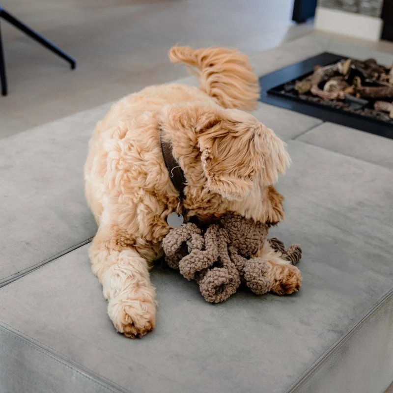 Hundespielzeug Ocky Oktopus