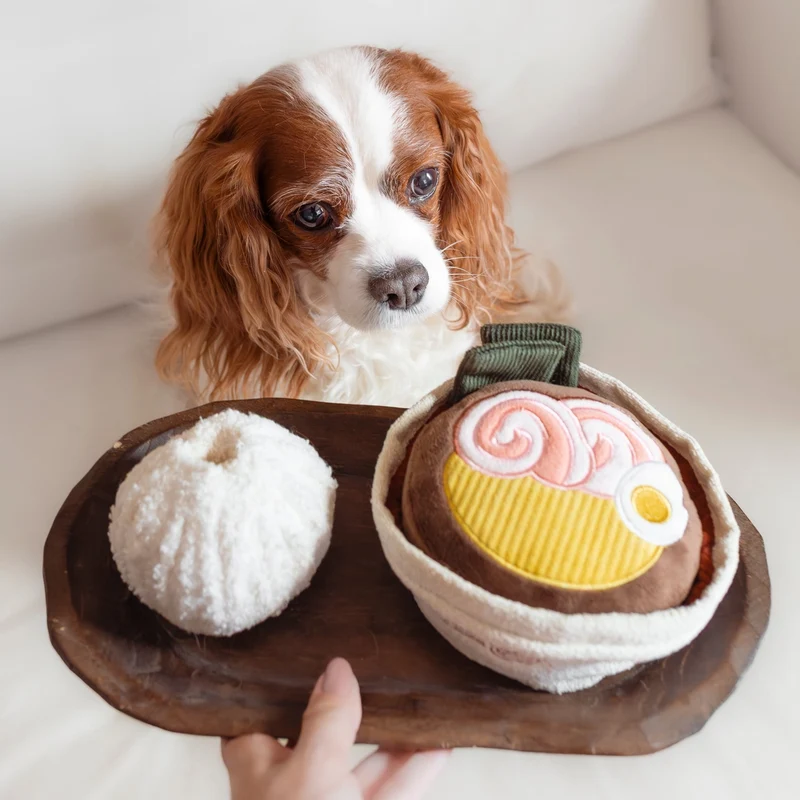 Hundespielzeug Ramen