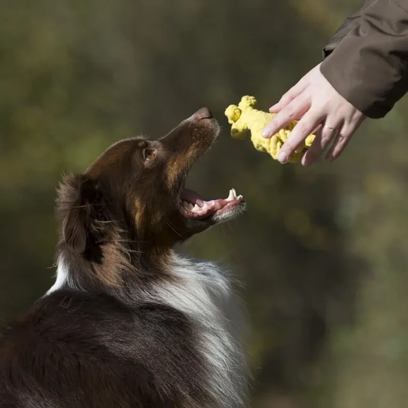 Hundespielzeug Greta Giraffe