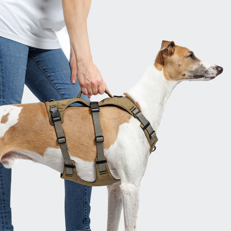 Y Sicherheitsgeschirr AKTIV Khaki/Grey