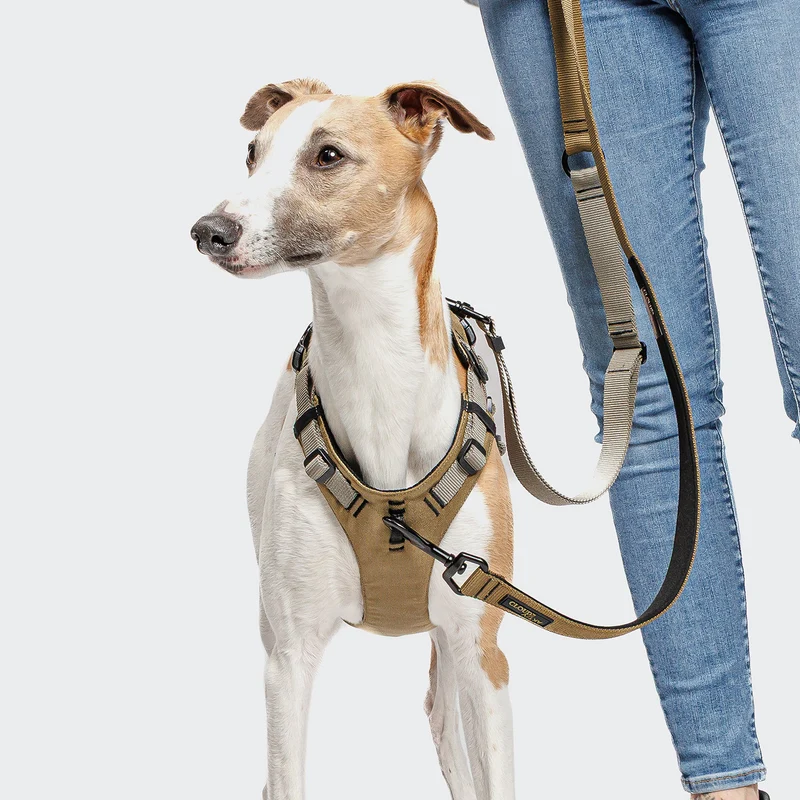 Y Sicherheitsgeschirr AKTIV Khaki/Grey