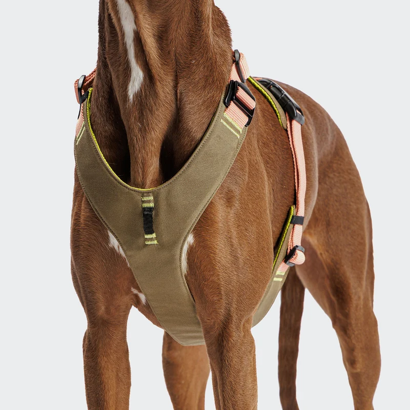 Y-2 Geschirr AKTIV Cordura Peach
