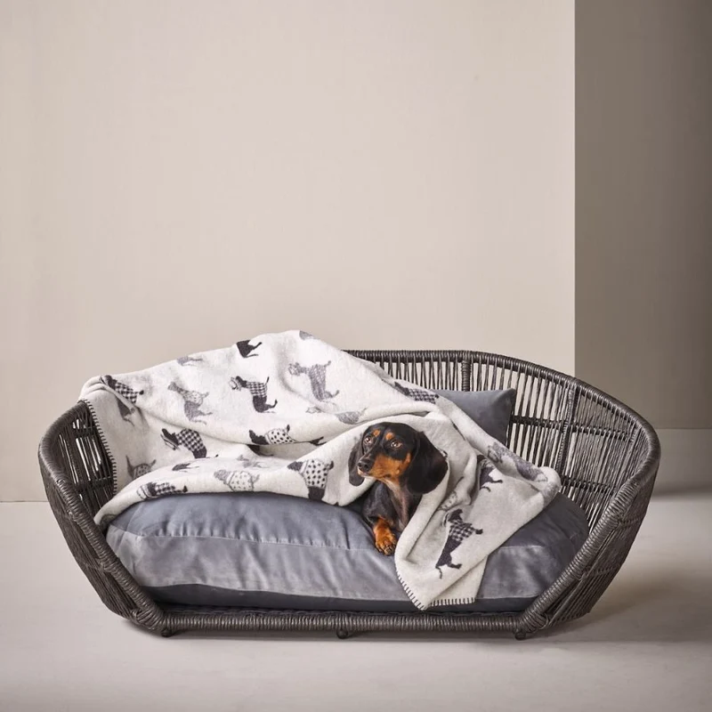 Hundedecke Dackel - Für Zuhause und unterwegs