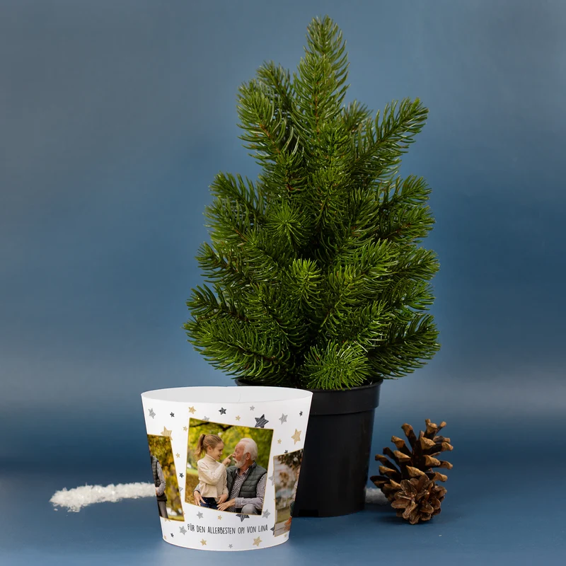 Mini Weihnachtsbaum personalisiert mit Fotos & Wunschtext | Geschenk zu Weihnachten und Advent