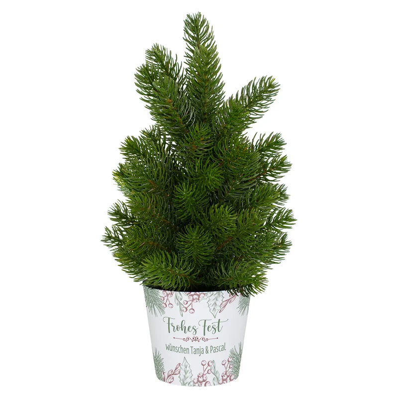 Kleiner Weihnachtsbaum mit personalisierter Banderole und Wunschtext | Weihnachtsdeko 'Frohes Fest'