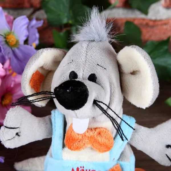 Kleine Plüschmaus als Geldgeschenk